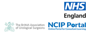 National rollout of NCIP portal to consultant vascular surgeons 